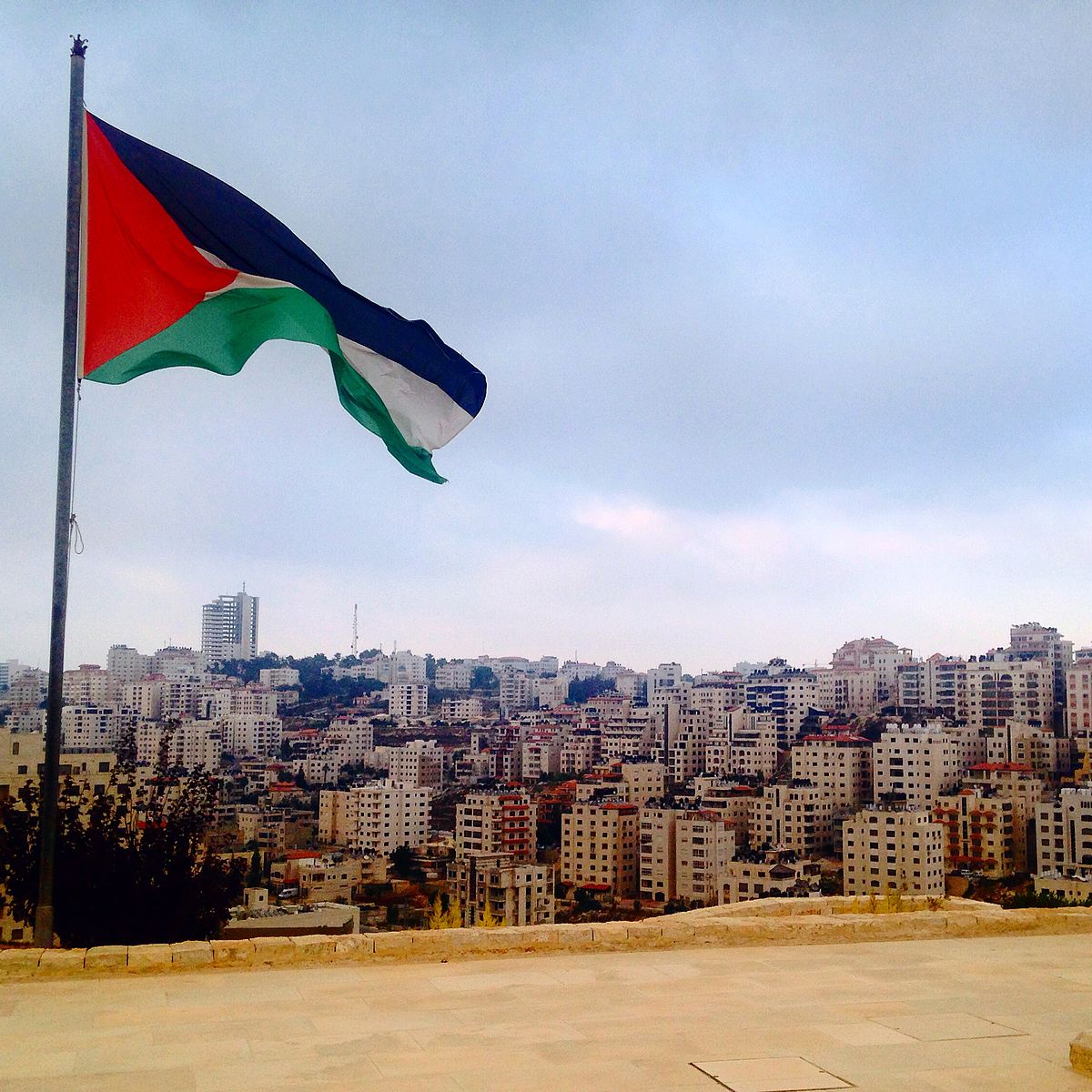 Basta con le campagne denigratorie verso la società civile palestinese