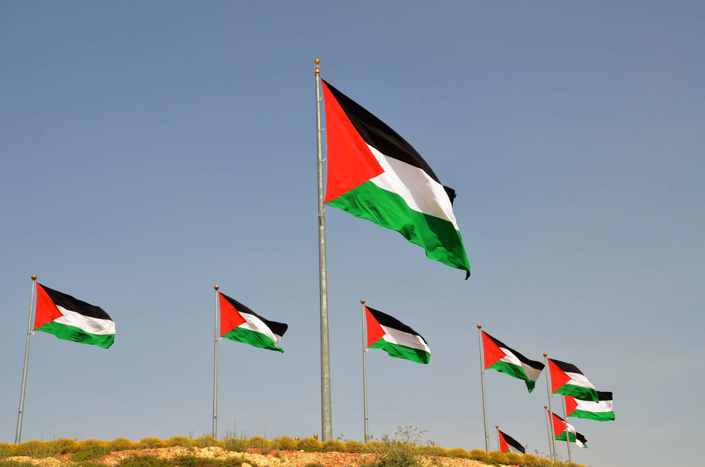 Il riconoscimento dello Stato di Palestina è urgente: primo passo verso una politica di Pace possibile