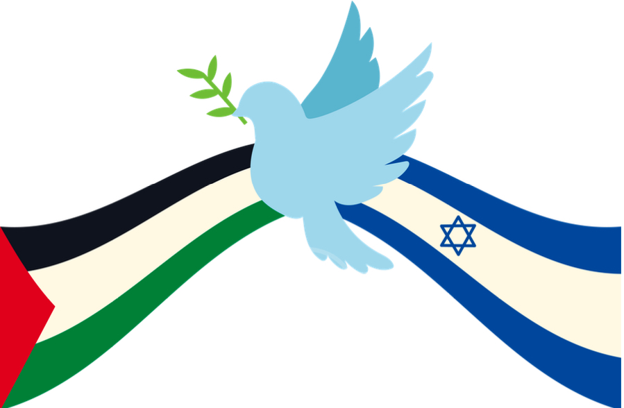 Il 18 dicembre è la Giornata di azione globale per un “cessate il fuoco” nei Territori palestinesi occupati e in Israele